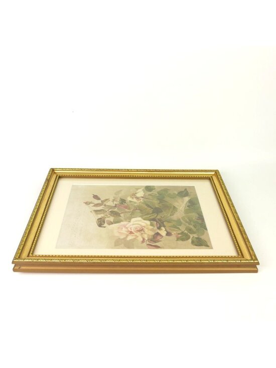 Eleanor rose hi-res stock photography and images - Alamy Antique 1889 Louis Prang Chromolithograph Pink Roses Ellen Thayer Fisher Framed